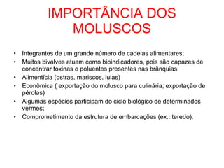 IMPORTÂNCIA DOS MOLUSCOS Integrantes de um grande número de cadeias alimentares; Muitos bivalves atuam como bioindicadores, pois são capazes de concentrar toxinas e poluentes presentes nas brânquias; Alimentícia (ostras, mariscos, lulas) Econômica ( exportação do molusco para culinária; exportação de pérolas) Algumas espécies participam do ciclo biológico de determinados vermes; Comprometimento da estrutura de embarcações (ex.: teredo). 