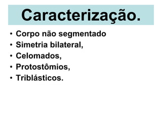 Caracterização. Corpo não segmentado  Simetria bilateral, Celomados, Protostômios, Triblásticos. 