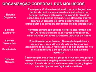 ORGANIZAÇÃO CORPORAL DOS MOLUSCOS Sistema Digestório   É completo. O alimento é triturado por uma língua com dentes de quitina chamada rádula e após desce por faringe, esôfago e estômago com glândula digestiva associada, que produz enzimas. Os restos saem através do ânus. A digestão de forma predominantemente extracelular e se completa dentro das células (intracelular). Sistema Excretório   Formado por um conjunto de nefrídios que formam um rim. Os nefrídios filtram as excreções nitrogenadas, eliminando-as por poros excretores próximos ao manto. Sistema Circulatório e Respiratório  É do tipo aberto ou lacunar. O coração impulsiona o sangue por vasos até que ele caia em lacunas que abastecem as células. A respiração é do tipo pulmonar nos animais terrestres e do tipo branquial nos animais aquáticos. Sistema Nervoso É formado por três pares de gânglios nervosos. Um gânglio nervoso é chamado de gânglio cerebral por se localizar na cabeça. Através de nervos ele controla os outros gânglios, que são ligados aos órgãos dos sentidos. 