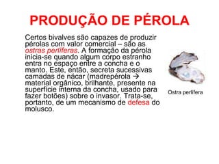 PRODUÇÃO DE PÉROLA Certos bivalves são capazes de produzir pérolas com valor comercial – são as  ostras perlíferas . A formação da pérola inicia-se quando algum corpo estranho entra no espaço entre a concha e o manto. Este, então, secreta sucessivas camadas de nácar (madrepérola    material orgânico, brilhante, presente na superfície interna da concha, usado para fazer botões) sobre o invasor. Trata-se, portanto, de um mecanismo de  defesa  do molusco. Ostra perlífera 