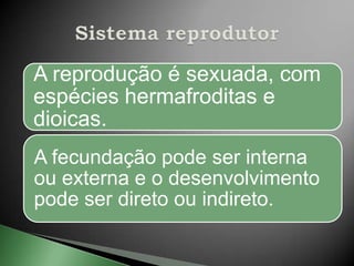 A reprodução é sexuada, com
espécies hermafroditas e
dioicas.
A fecundação pode ser interna
ou externa e o desenvolvimento
pode ser direto ou indireto.
 