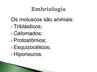 Os moluscos são animais:
 Triblásticos;
 Celomados;
 Protostômios;
 Esquizocélicos;
 Hiponeuros.
 