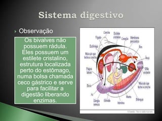    Observação
       Os bivalves não
      possuem rádula.
      Eles possuem um
      estilete cristalino,
     estrutura localizada
     perto do estômago,
    numa bolsa chamada
    ceco gástrico e serve
        para facilitar a
     digestão liberando
           enzimas.
 