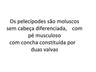 Os pelecípodes são moluscos
sem cabeça diferenciada, com
        pé musculoso
 com concha constituída por
          duas valvas
 