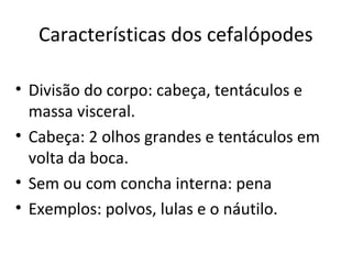 Características dos cefalópodes

• Divisão do corpo: cabeça, tentáculos e
  massa visceral.
• Cabeça: 2 olhos grandes e tentáculos em
  volta da boca.
• Sem ou com concha interna: pena
• Exemplos: polvos, lulas e o náutilo.
 