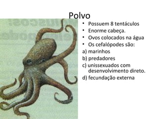 Polvo
   • Possuem 8 tentáculos
   • Enorme cabeça.
   • Ovos colocados na água
   • Os cefalópodes são:
   a) marinhos
   b) predadores
   c) unissexuados com
      desenvolvimento direto.
   d) fecundação externa
 