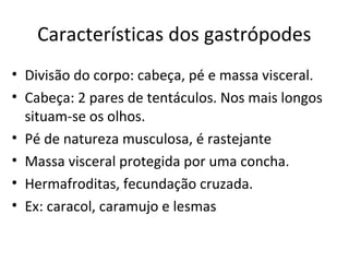 Características dos gastrópodes
• Divisão do corpo: cabeça, pé e massa visceral.
• Cabeça: 2 pares de tentáculos. Nos mais longos
  situam-se os olhos.
• Pé de natureza musculosa, é rastejante
• Massa visceral protegida por uma concha.
• Hermafroditas, fecundação cruzada.
• Ex: caracol, caramujo e lesmas
 