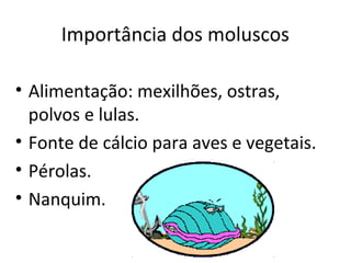 Importância dos moluscos

• Alimentação: mexilhões, ostras,
  polvos e lulas.
• Fonte de cálcio para aves e vegetais.
• Pérolas.
• Nanquim.
 
