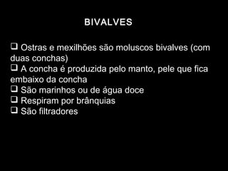 BIVALVES

 Ostras e mexilhões são moluscos bivalves (com
duas conchas)
 A concha é produzida pelo manto, pele que fica
embaixo da concha
 São marinhos ou de água doce
 Respiram por brânquias
 São filtradores
 