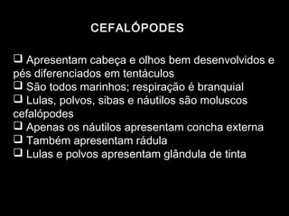 CEFALÓPODES

 Apresentam cabeça e olhos bem desenvolvidos e
pés diferenciados em tentáculos
 São todos marinhos; respiração é branquial
 Lulas, polvos, sibas e náutilos são moluscos
cefalópodes
 Apenas os náutilos apresentam concha externa
 Também apresentam rádula
 Lulas e polvos apresentam glândula de tinta
 