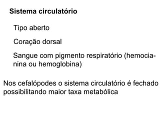 Sistema circulatório

   Tipo aberto
   Coração dorsal
   Sangue com pigmento respiratório (hemocia-
   nina ou hemoglobina)

Nos cefalópodes o sistema circulatório é fechado
possibilitando maior taxa metabólica
 