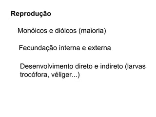 Reprodução

 Monóicos e dióicos (maioria)

 Fecundação interna e externa

  Desenvolvimento direto e indireto (larvas
  trocófora, véliger...)
 