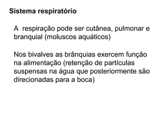 Sistema respiratório

 A respiração pode ser cutânea, pulmonar e
 branquial (moluscos aquáticos)

 Nos bivalves as brânquias exercem função
 na alimentação (retenção de partículas
 suspensas na água que posteriormente são
 direcionadas para a boca)
 
