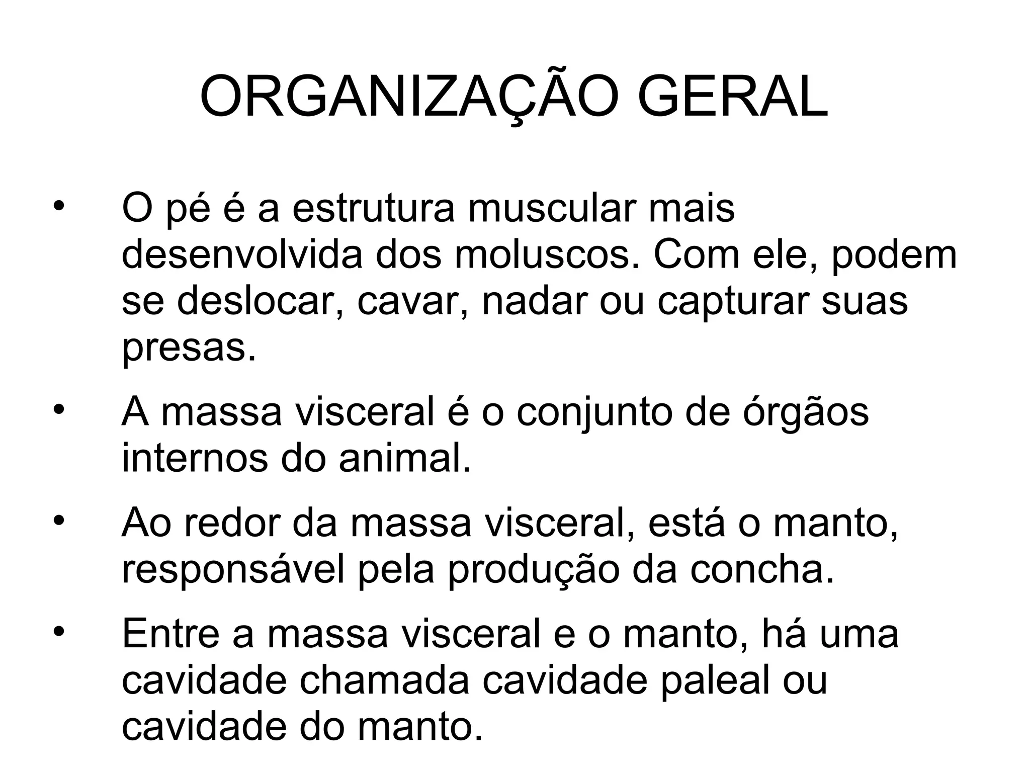 ORGANIZAÇÃO GERAL
• O pé é a estrutura muscular mais
desenvolvida dos moluscos. Com ele, podem
se deslocar, cavar, nadar ou capturar suas
presas.
• A massa visceral é o conjunto de órgãos
internos do animal.
• Ao redor da massa visceral, está o manto,
responsável pela produção da concha.
• Entre a massa visceral e o manto, há uma
cavidade chamada cavidade paleal ou
cavidade do manto.
 