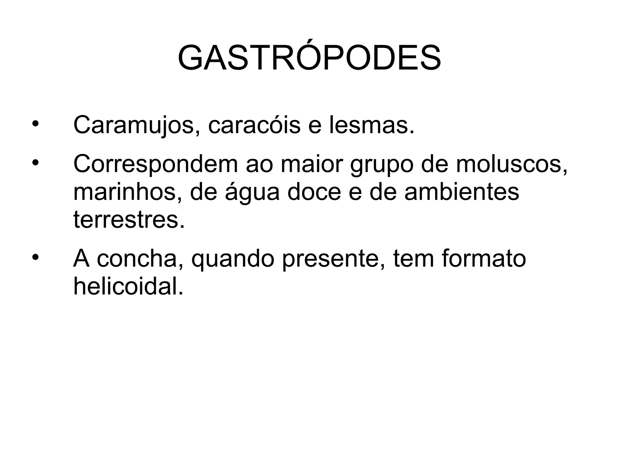GASTRÓPODES
• Caramujos, caracóis e lesmas.
• Correspondem ao maior grupo de moluscos,
marinhos, de água doce e de ambientes
terrestres.
• A concha, quando presente, tem formato
helicoidal.
 