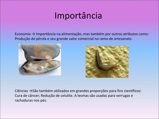 Importância
Ciências →São também utilizados em grandes proporções para fins científicos:
Cura de câncer; Redução de celulite. A lesmas são usadas para verrugas e
rachaduras nos pés.
Economia → Importância na alimentação, mas também por outros atributos como:
Produção de pérola e seu grande valor comercial no ramo de artesanato.
 