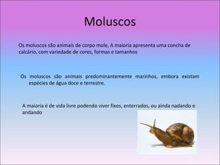 Moluscos
Os moluscos são animais predominantemente marinhos, embora existam
espécies de água doce e terrestre.
A maioria é de vida livre podendo viver fixos, enterrados, ou ainda nadando e
andando
Os moluscos são animais de corpo mole, A maioria apresenta uma concha de
calcário, com variedade de cores, formas e tamanhos
 