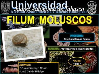 PROFESOR:
José Luis Ramos Palma

MATERIA: Protozoarios e Invertebrados

ALUMNO:
Osmar Santiago Alonso
José Galván Hidalgo

Grupo:
“ F08 “

 