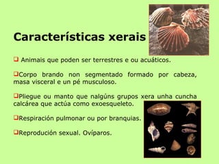 Características xerais
 Animais que poden ser terrestres e ou acuáticos.
Corpo brando non segmentado formado por cabeza,
masa visceral e un pé musculoso.
Pliegue ou manto que nalgúns grupos xera unha cuncha
calcárea que actúa como exoesqueleto.
Respiración pulmonar ou por branquias.
Reprodución sexual. Ovíparos.
 