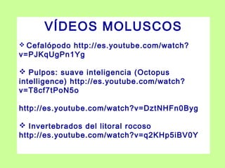 VÍDEOS MOLUSCOS
 Cefalópodo http://es.youtube.com/watch?
v=PJKqUgPn1Yg
 Pulpos: suave inteligencia (Octopus
intelligence) http://es.youtube.com/watch?
v=T8cf7tPoN5o
http://es.youtube.com/watch?v=DztNHFn0Byg
 Invertebrados del litoral rocoso
http://es.youtube.com/watch?v=q2KHp5iBV0Y
 