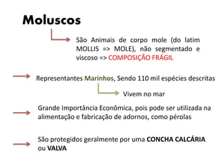 Moluscos 
São Animais de corpo mole (do latim 
MOLLIS => MOLE), não segmentado e 
viscoso => COMPOSIÇÃO FRÁGIL 
Representantes Marinhos, Sendo 110 mil espécies descritas 
Vivem no mar 
Grande Importância Econômica, pois pode ser utilizada na 
alimentação e fabricação de adornos, como pérolas 
São protegidos geralmente por uma CONCHA CALCÁRIA 
ou VALVA 
 