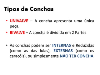 Tipos de Conchas 
• UNIVALVE – A concha apresenta uma única 
peça. 
• BIVALVE – A concha é dividida em 2 Partes 
• As conchas podem ser INTERNAS e Reduzidas 
(como as das lulas), EXTERNAS (como os 
caracóis), ou simplesmente NÃO TER CONCHA 
 
