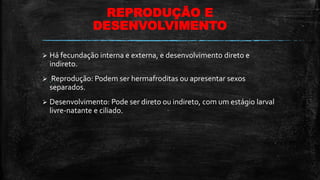 REPRODUÇÃO E
DESENVOLVIMENTO
 Há fecundação interna e externa, e desenvolvimento direto e
indireto.
 Reprodução: Podem ser hermafroditas ou apresentar sexos
separados.
 Desenvolvimento: Pode ser direto ou indireto, com um estágio larval
livre-natante e ciliado.
 