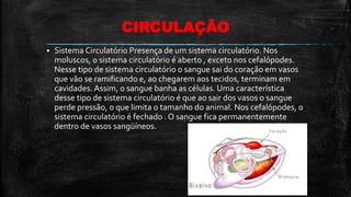 CIRCULAÇÃO
 Sistema Circulatório Presença de um sistema circulatório. Nos
moluscos, o sistema circulatório é aberto , exceto nos cefalópodes.
Nesse tipo de sistema circulatório o sangue sai do coração em vasos
que vão se ramificando e, ao chegarem aos tecidos, terminam em
cavidades. Assim, o sangue banha as células. Uma característica
desse tipo de sistema circulatório é que ao sair dos vasos o sangue
perde pressão, o que limita o tamanho do animal. Nos cefalópodes, o
sistema circulatório é fechado . O sangue fica permanentemente
dentro de vasos sangüíneos.
 