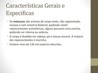 Características Gerais e
Especificas
• Os moluscos são animais de corpo mole, não segmentado,
viscoso e com simetria bilateral, podendo existir
representantes assimétricos, alguns possuem uma concha,
podendo ser interna ou externa.
• O corpo é dividido em cabeça, pé e massa visceral. A maioria
dos representantes é marinha.
• Existem mais de 110 mil espécies descritas.
 