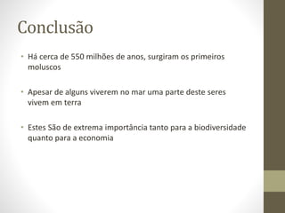 Conclusão
• Há cerca de 550 milhões de anos, surgiram os primeiros
moluscos
• Apesar de alguns viverem no mar uma parte deste seres
vivem em terra
• Estes São de extrema importância tanto para a biodiversidade
quanto para a economia
 