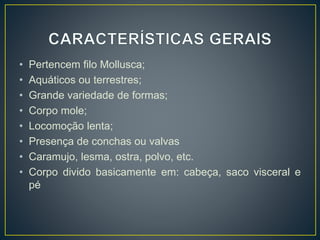 • Pertencem filo Mollusca;
• Aquáticos ou terrestres;
• Grande variedade de formas;
• Corpo mole;
• Locomoção lenta;
• Presença de conchas ou valvas
• Caramujo, lesma, ostra, polvo, etc.
• Corpo divido basicamente em: cabeça, saco visceral e
pé
 