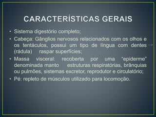 • Sistema digestório completo;
• Cabeça: Gânglios nervosos relacionados com os olhos e
os tentáculos, possui um tipo de língua com dentes
(rádula) raspar superfícies;
• Massa visceral: recoberta por uma “epiderme”
denominada manto estruturas respiratórias, brânquias
ou pulmões, sistemas excretor, reprodutor e circulatório;
• Pé: repleto de músculos utilizado para locomoção.
 