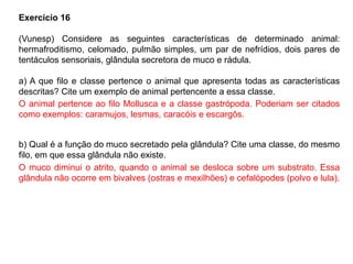 Exercício 16
(Vunesp) Considere as seguintes características de determinado animal:
hermafroditismo, celomado, pulmão simples, um par de nefrídios, dois pares de
tentáculos sensoriais, glândula secretora de muco e rádula.
a) A que filo e classe pertence o animal que apresenta todas as características
descritas? Cite um exemplo de animal pertencente a essa classe.
b) Qual é a função do muco secretado pela glândula? Cite uma classe, do mesmo
filo, em que essa glândula não existe.
O animal pertence ao filo Mollusca e a classe gastrópoda. Poderiam ser citados
como exemplos: caramujos, lesmas, caracóis e escargôs.
O muco diminui o atrito, quando o animal se desloca sobre um substrato. Essa
glândula não ocorre em bivalves (ostras e mexilhões) e cefalópodes (polvo e lula).
 