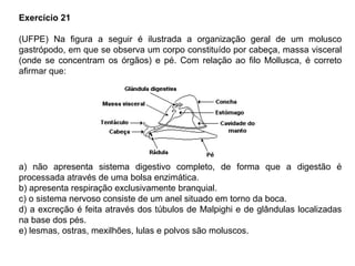Exercício 21
(UFPE) Na figura a seguir é ilustrada a organização geral de um molusco
gastrópodo, em que se observa um corpo constituído por cabeça, massa visceral
(onde se concentram os órgãos) e pé. Com relação ao filo Mollusca, é correto
afirmar que:
a) não apresenta sistema digestivo completo, de forma que a digestão é
processada através de uma bolsa enzimática.
b) apresenta respiração exclusivamente branquial.
c) o sistema nervoso consiste de um anel situado em torno da boca.
d) a excreção é feita através dos túbulos de Malpighi e de glândulas localizadas
na base dos pés.
e) lesmas, ostras, mexilhões, lulas e polvos são moluscos.
 