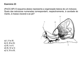 Exercício 23
(PUCC-SP) O esquema abaixo representa a organização básica de um molusco.
Quais das estruturas numeradas correspondem, respectivamente, à cavidade do
manto, à massa visceral e ao pé?
a) I, II e III.
b) II, III e IV.
c) III, I e V.
d) III, IV e V.
e) V, IV e III.
 