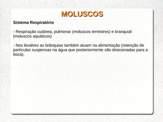 MOLUSCOSMOLUSCOS
Sistema Respiratório
- Respiração cutânea, pulmonar (moluscos terrestres) e branquial
(moluscos aquáticos).
- Nos bivalves as brânquias também atuam na alimentação (retenção de
partículas suspensas na água que posteriormente são direcionadas para a
boca).
 