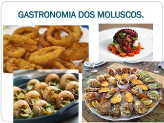 GASTRONOMIA DOS MOLUSCOS.
 