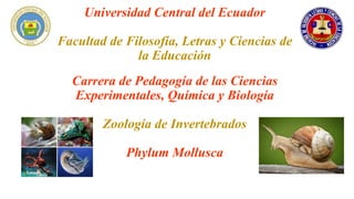 Universidad Central del Ecuador
Facultad de Filosofía, Letras y Ciencias de
la Educación
Carrera de Pedagogía de las Ciencias
Experimentales, Química y Biología
Zoología de Invertebrados
Phylum Mollusca
 