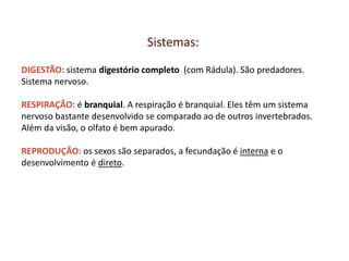 Sistemas:
DIGESTÃO: sistema digestório completo (com Rádula). São predadores.
Sistema nervoso.
RESPIRAÇÃO: é branquial. A respiração é branquial. Eles têm um sistema
nervoso bastante desenvolvido se comparado ao de outros invertebrados.
Além da visão, o olfato é bem apurado.
REPRODUÇÃO: os sexos são separados, a fecundação é interna e o
desenvolvimento é direto.
 