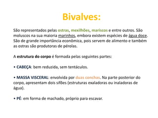 Bivalves:
São representados pelas ostras, mexilhões, mariscos e entre outros. São
moluscos na sua maioria marinhos, embora existem espécies de água doce.
São de grande importância econômica, pois servem de alimento e também
as ostras são produtoras de pérolas.
A estrutura do corpo é formada pelas seguintes partes:
• CABEÇA: bem reduzida, sem tentáculos.
• MASSA VISCERAL: envolvida por duas conchas. Na parte posterior do
corpo, apresentam dois sifões (estruturas exaladoras ou inaladoras de
água).
• PÉ: em forma de machado, próprio para escavar.
 