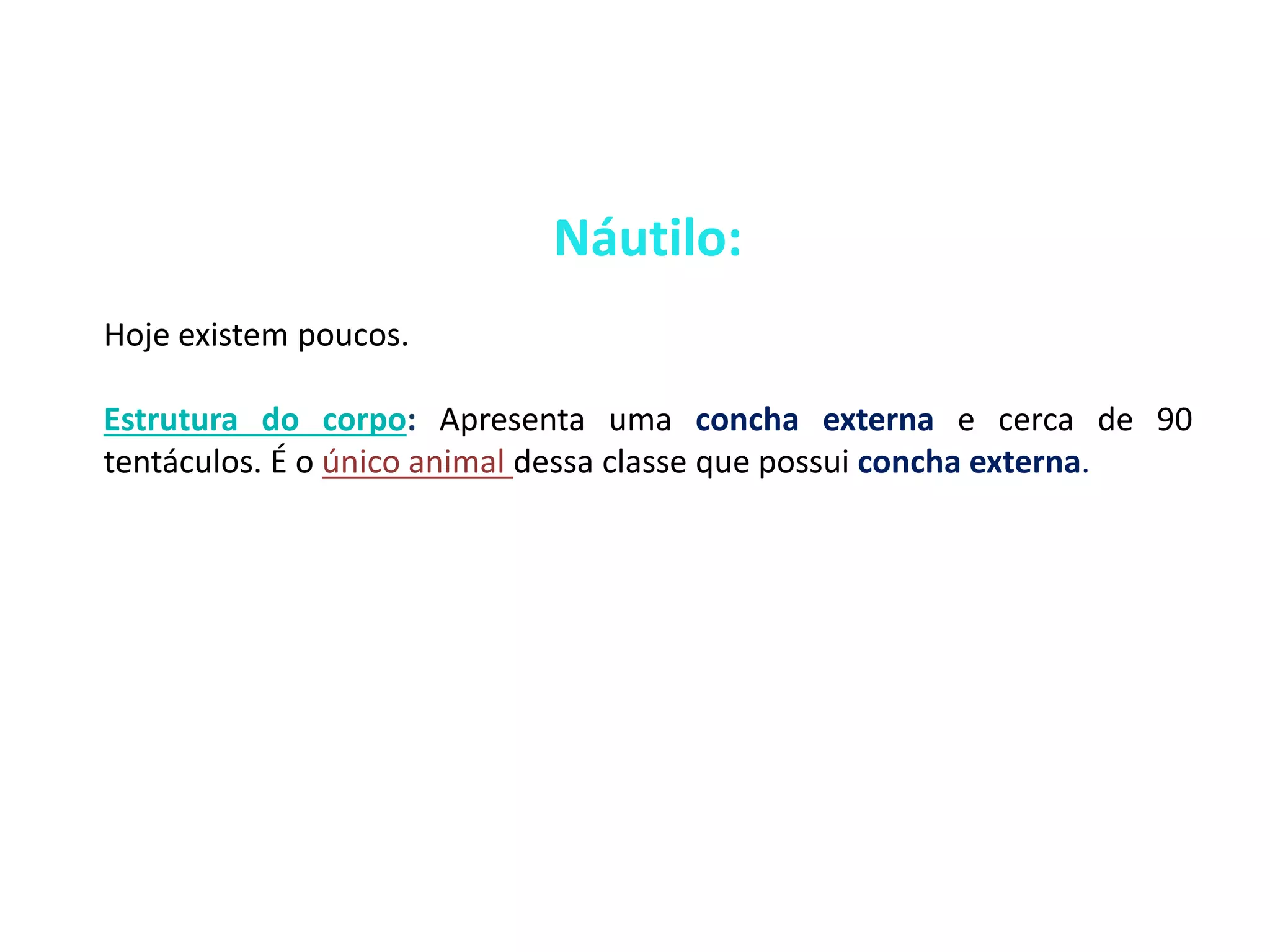 Náutilo: 
Hoje existem poucos. 
Estrutura do corpo: Apresenta uma concha externa e cerca de 90 
tentáculos. É o único animal dessa classe que possui concha externa. 
 