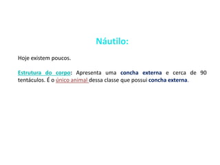 Náutilo: 
Hoje existem poucos. 
Estrutura do corpo: Apresenta uma concha externa e cerca de 90 
tentáculos. É o único animal dessa classe que possui concha externa. 
 
