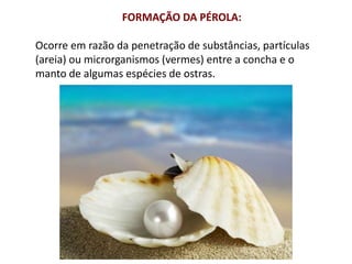 FORMAÇÃO DA PÉROLA: 
Ocorre em razão da penetração de substâncias, partículas 
(areia) ou microrganismos (vermes) entre a concha e o 
manto de algumas espécies de ostras. 
 