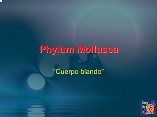 PhylumPhylum MolluscaMollusca
“Cuerpo blando”
 
