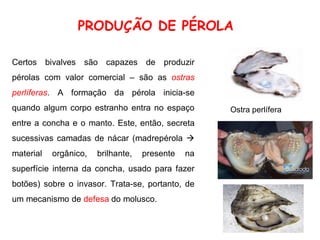 PRODUÇÃO DE PÉROLA
Certos bivalves são capazes de produzir
pérolas com valor comercial – são as ostras
perlíferas. A formação da pérola inicia-se
quando algum corpo estranho entra no espaço
entre a concha e o manto. Este, então, secreta
sucessivas camadas de nácar (madrepérola →
material orgânico, brilhante, presente na
superfície interna da concha, usado para fazer
botões) sobre o invasor. Trata-se, portanto, de
um mecanismo de defesa do molusco.
Ostra perlífera
 