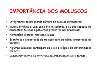 IMPORTÂNCIA DOS MOLUSCOS
• Integrantes de um grande número de cadeias alimentares;
• Muitos bivalves atuam como bioindicadores, pois são capazes de
concentrar toxinas e poluentes presentes nas brânquias;
• Alimentícia (ostras, mariscos, lulas)
• Econômica ( exportação do molusco para culinária; exportação de
pérolas)
• Algumas espécies participam do ciclo biológico de determinados
vermes;
• Comprometimento da estrutura de embarcações (ex.: teredo).
 