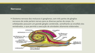 Nervoso
 Osistema nervoso dos moluscos é ganglionar, com três partes de gânglios
nervosos de onde partem nervos para as diversas partes do corpo. Os
cefalópodes possuem um grande gânglio cerebroide, semelhante ao encéfalo dos
vertebrados, o que permite a execução de atividades altamente elaboradas.
 