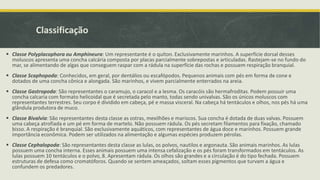Classificação
 Classe Polyplacophora ou Amphineura: Um representante é o quíton. Exclusivamente marinhos. A superfície dorsal desses
moluscos apresenta uma concha calcária composta por placas parcialmente sobrepostas e articuladas. Rastejam-se no fundo do
mar, se alimentando de algas que conseguem raspar com a rádula na superfície das rochas e possuem respiração branquial.
 Classe Scaphopoda: Conhecidos, em geral, por dentálios ou escafópodos. Pequenos animais com pés em forma de cone e
dotados de uma concha cônica e alongada. São marinhos, e vivem parcialmente enterrados na areia.
 Classe Gastropoda: São representantes o caramujo, o caracol e a lesma. Os caracóis são hermafroditas. Podem possuir uma
concha calcaria com formato helicoidal que é secretada pelo manto, todas sendo univalvas. São os únicos moluscos com
representantes terrestres. Seu corpo é dividido em cabeça, pé e massa visceral. Na cabeça há tentáculos e olhos, nos pés há uma
glândula produtora de muco.
 Classe Bivalvia: São representantes desta classe as ostras, mexilhões e mariscos. Sua concha é dotada de duas valvas. Possuem
uma cabeça atrofiada e um pé em forma de martelo. Não possuem rádula. Os pés secretam filamentos para fixação, chamado
bisso. A respiração é branquial. São exclusivamente aquáticos, com representantes de água doce e marinhos. Possuem grande
importância econômica. Podem ser utilizados na alimentação e algumas espécies produzem pérolas.
 Classe Cephalopoda: São representantes desta classe as lulas, os polvos, nautilos e argonauta. São animais marinhos. As lulas
possuem uma concha interna. Esses animais possuem uma intensa cefalização e os pés foram transformados em tentáculos. As
lulas possuem 10 tentáculos e o polvo, 8. Apresentam rádula. Os olhos são grandes e a circulação é do tipo fechada. Possuem
estruturas de defesa como cromatóforos. Quando se sentem ameaçados, soltam esses pigmentos que turvam a água e
confundem os predadores.
 