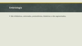 Embriologia
 São triblásticos, celomados, protostômios, bilatérios e não segmentados.
 