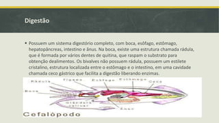 Digestão
 Possuem um sistema digestório completo, com boca, esôfago, estômago,
hepatopâncreas, intestino e ânus. Na boca, existe uma estrutura chamada rádula,
que é formada por vários dentes de quitina, que raspam o substrato para
obtenção dealimentos. Os bivalves não possuem rádula, possuem um estilete
cristalino, estrutura localizada entre o estômago e o intestino, em uma cavidade
chamada ceco gástrico que facilita a digestão liberando enzimas.
 